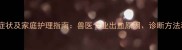 狗狗出血性肠炎症状及家庭护理指南兽医专业出血原因诊断方法和紧急处理技巧