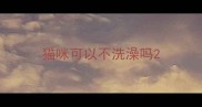 猫咪可以不洗澡吗