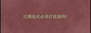 比熊幼犬必须打疫苗吗