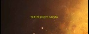 拉布拉多玩什么玩具