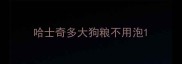 哈士奇多大狗粮不用泡