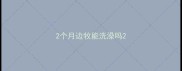 2个月边牧能洗澡吗