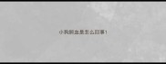 小狗屙血是怎么回事