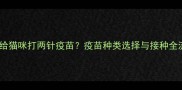 如何科学给猫咪打两针疫苗疫苗种类选择与接种全流程指南