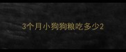 3个月小狗狗粮吃多少