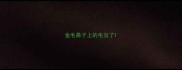 金毛鼻子上的毛没了