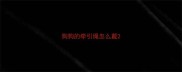 狗狗的牵引绳怎么戴