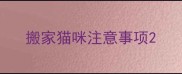 搬家猫咪注意事项