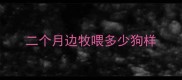 二个月边牧喂多少狗样