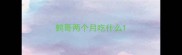鹩哥两个月吃什么