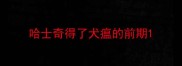哈士奇得了犬瘟的前期