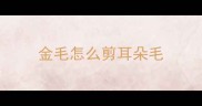 金毛怎么剪耳朵毛