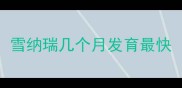 雪纳瑞几个月发育最快