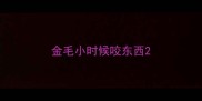 金毛小时候咬东西