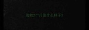 边牧2个月是什么样子