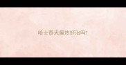 哈士奇犬瘟热好治吗