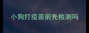 小狗打疫苗前先检测吗