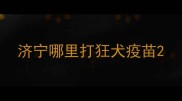 济宁哪里打狂犬疫苗
