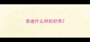 泰迪什么样的好养