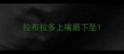 拉布拉多上嘴唇下坠