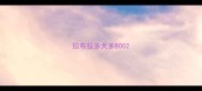 拉布拉多犬多800