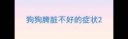 狗狗脾脏不好的症状