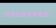 拉布拉多全身黑色