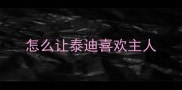 怎么让泰迪喜欢主人