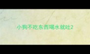 小狗不吃东西喝水就吐