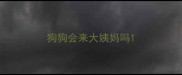 狗狗会来大姨妈吗