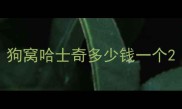 狗窝哈士奇多少钱一个