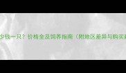宠物白狐多少钱一只价格全及饲养指南附地区差异与购买避坑技巧