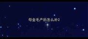 母金毛产后怎么补