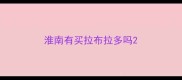 淮南有买拉布拉多吗