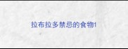 拉布拉多禁忌的食物