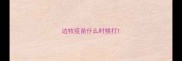 边牧疫苗什么时候打