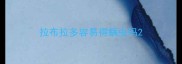 拉布拉多容易得螨虫吗