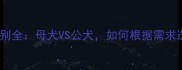 哈士奇公母区别全母犬VS公犬如何根据需求选对伴侣犬