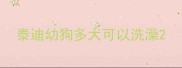 泰迪幼狗多大可以洗澡