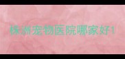 株洲宠物医院哪家好