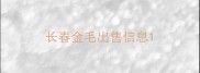 长春金毛出售信息
