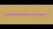 如何挑选靠谱的狗狗宠物店这份最新攻略来了