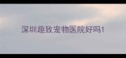 深圳趣致宠物医院好吗