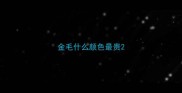 金毛什么颜色最贵