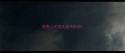 狗狗公的贵还是母的贵