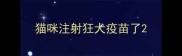猫咪注射狂犬疫苗了