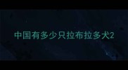 中国有多少只拉布拉多犬