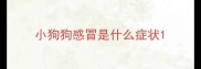 小狗狗感冒是什么症状