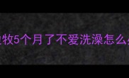 边牧5个月了不爱洗澡怎么办