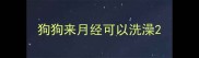 狗狗来月经可以洗澡